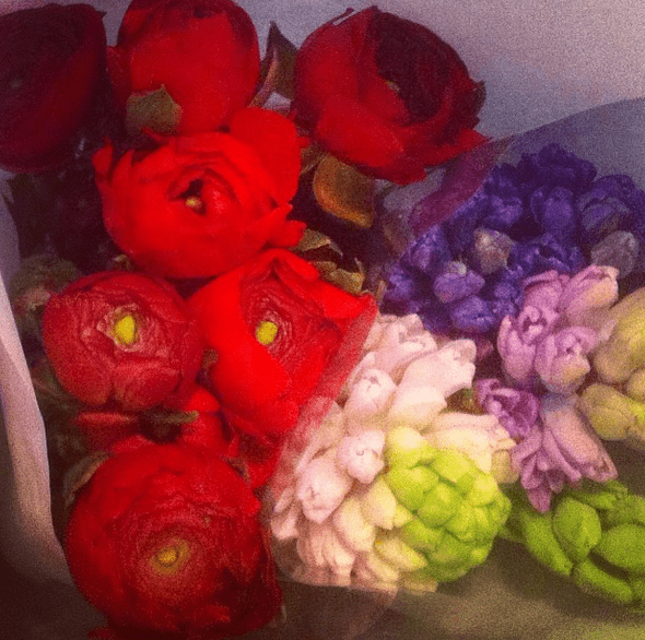 Toronto Flower Market is Back, Just in Time for Mother's Day