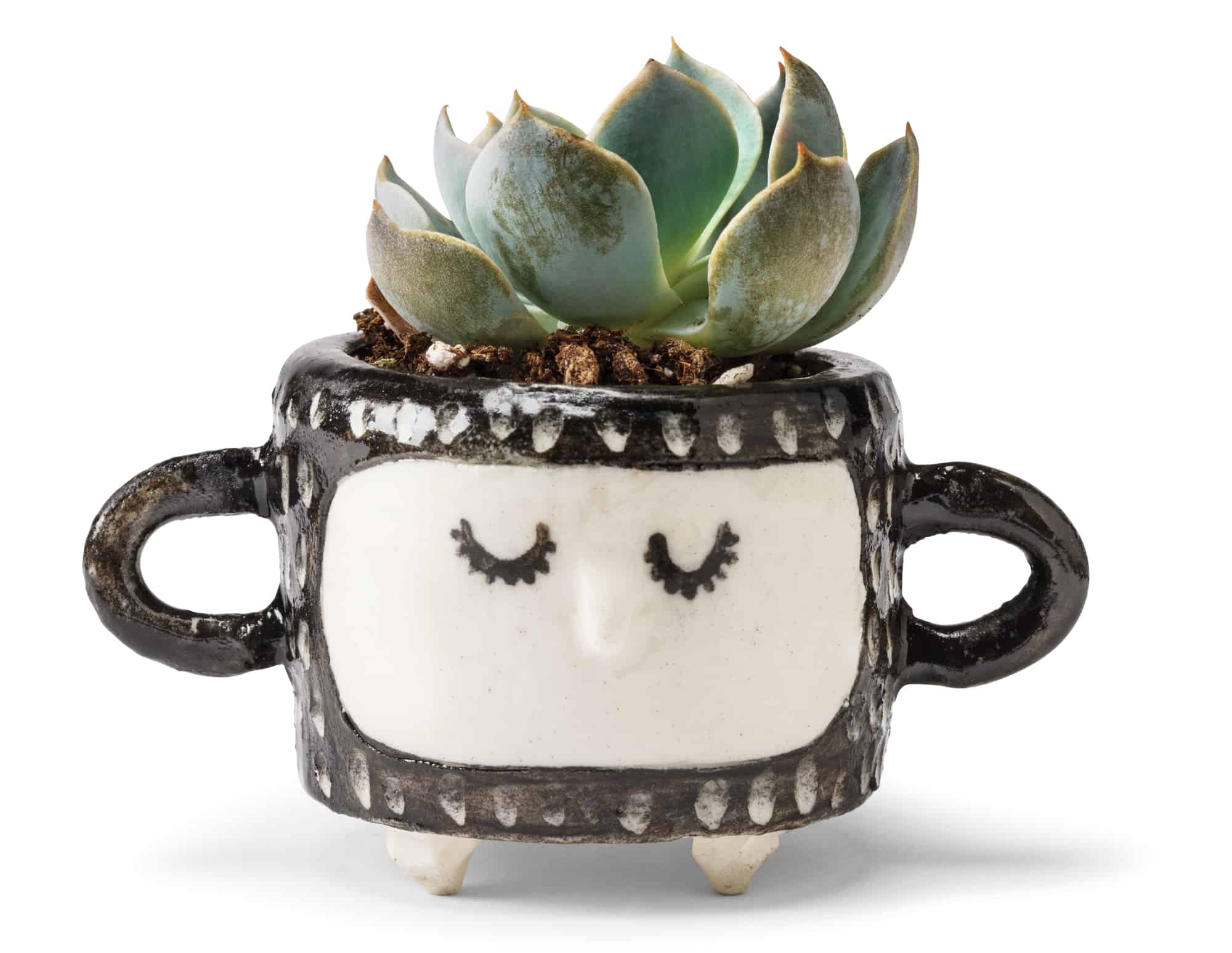 Mini ceramic planter $35 by Janet Hinkle, Hinkleville