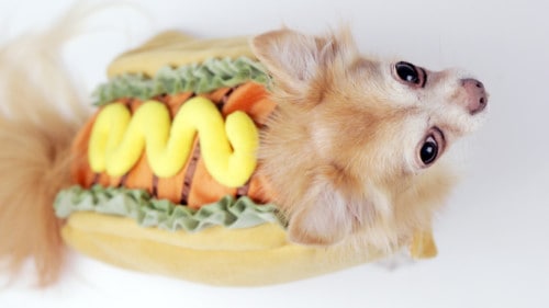 bennie_hotdog21