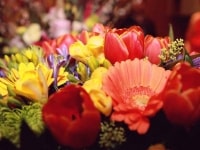 hottest-flower-bouquet-for-rethink-24