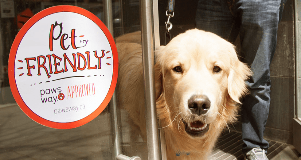 Q&A With Anice Jewellery, Proud Business Partner of Purina PawsWay Pet