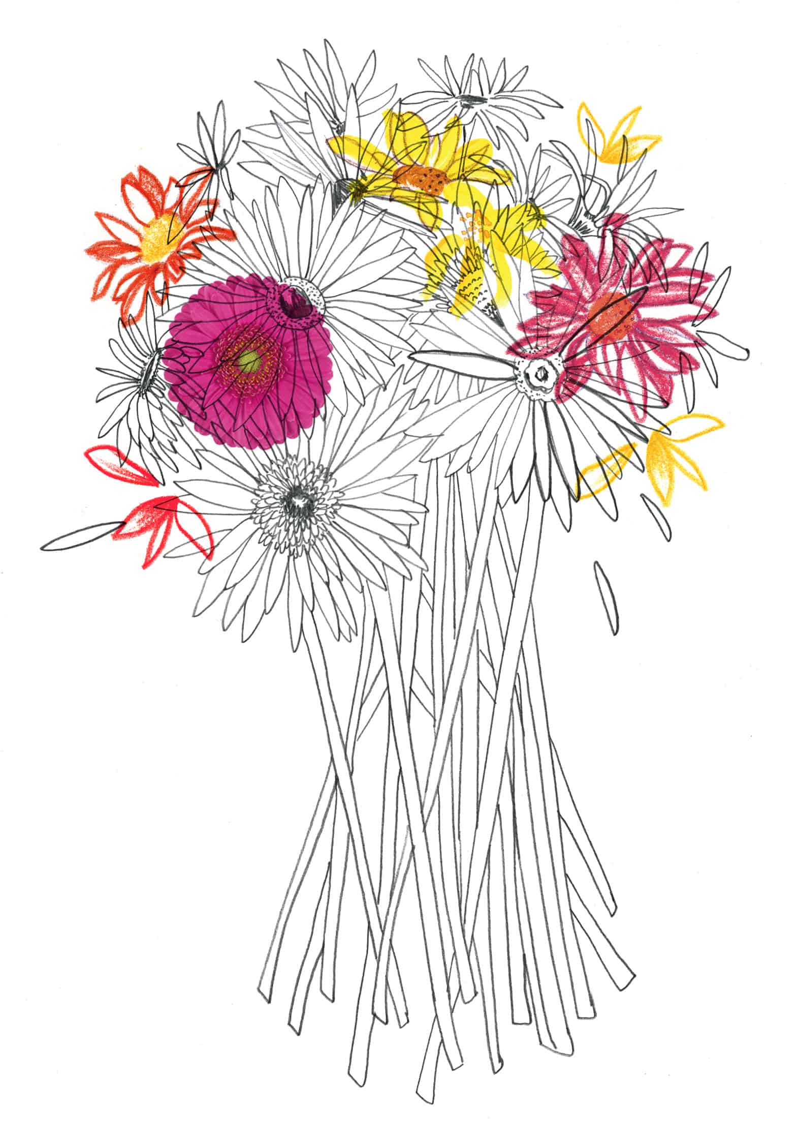 Great Offer Fresh flowers for every month of the year!